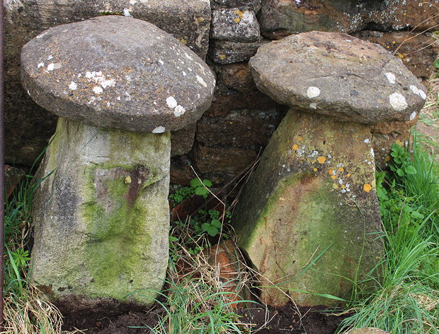 Appraisal: TWO SIMILAR STADDLE STONES with circular tops and square spreading