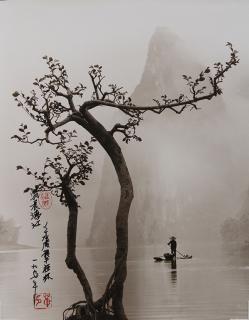 Appraisal: Photographs Don Hong lot of Don Hong-Oia Chinese - Early