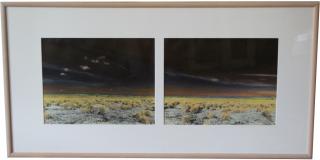 Appraisal: Ellie Diez Massaro th C hand colored diptych Image Size