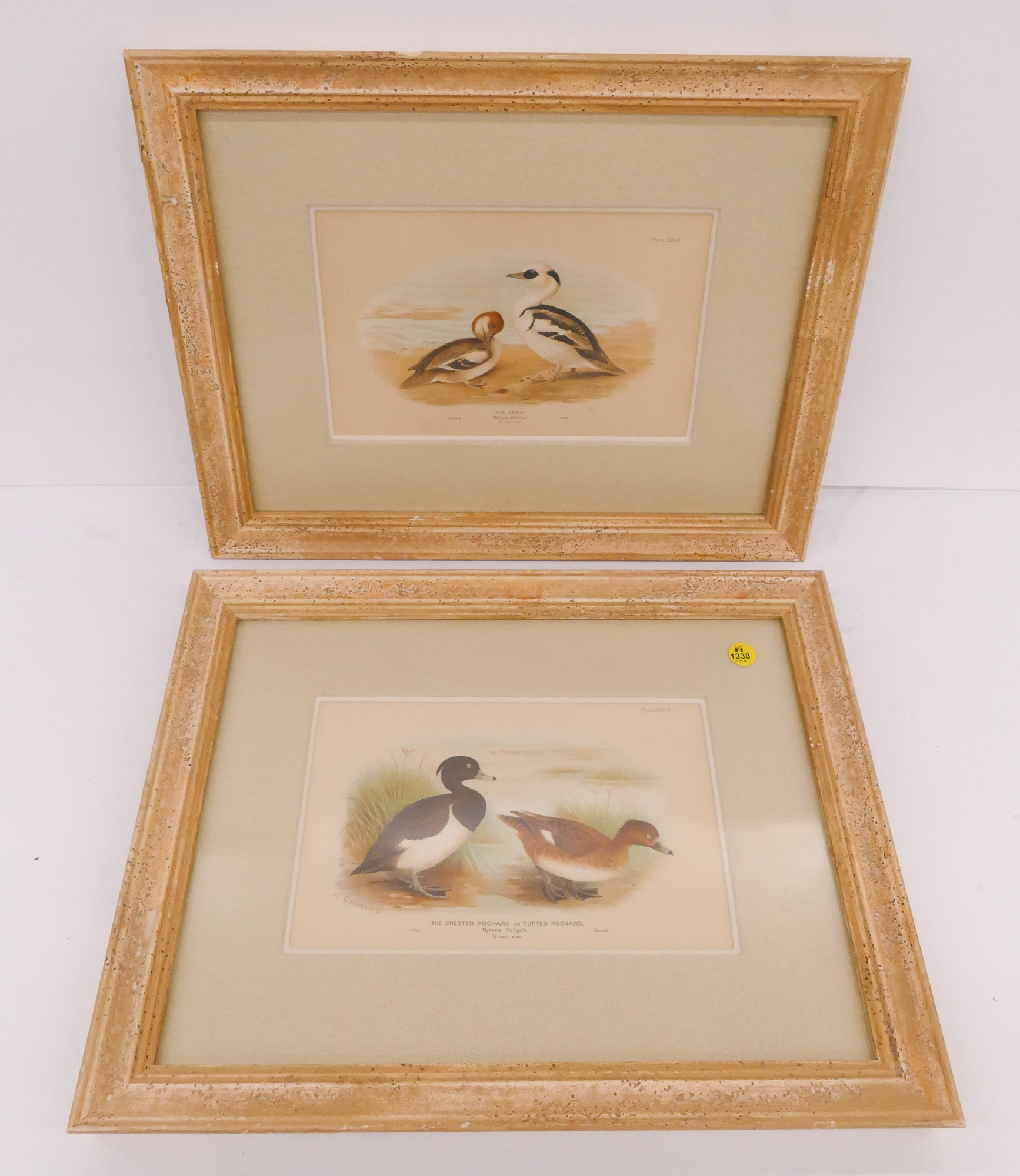 Appraisal: Pair Antique Gronbold Bird Lithographs Framed- x '' each