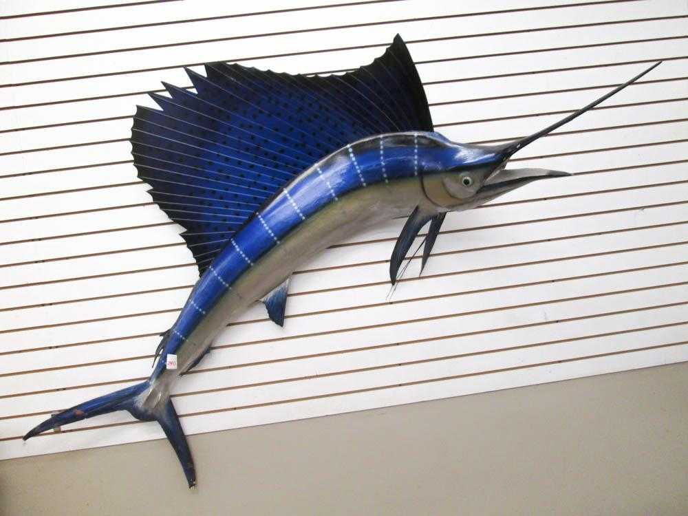 Appraisal: LARGE SAILFISH TAXIDERMY TROPHY MOUNT Mexico Overall length - inches