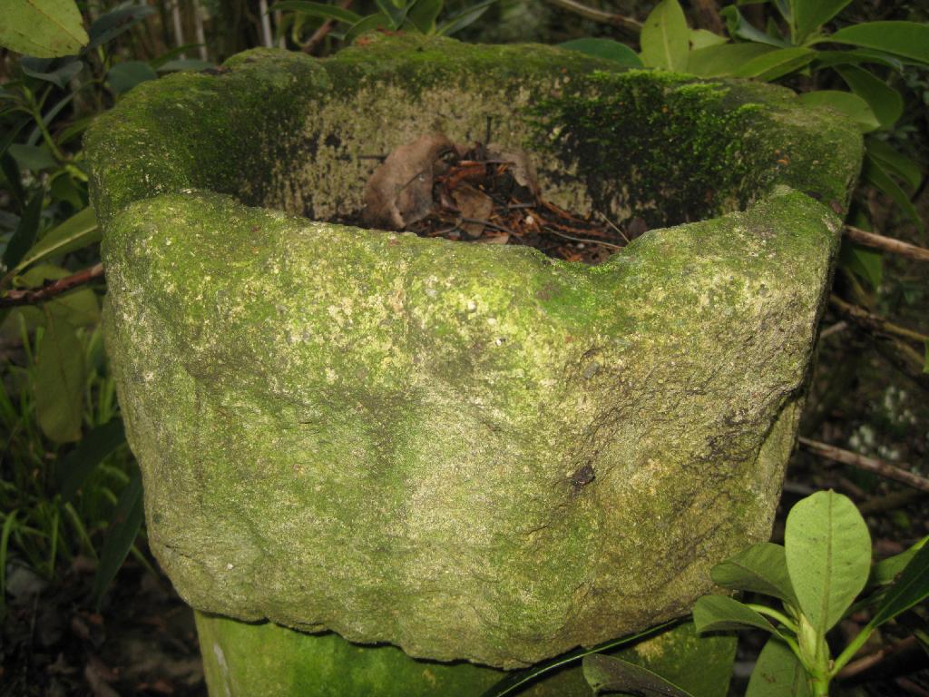 Appraisal: An early carved stone shaped circular Mortar with stylised design