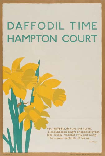 Appraisal: VARIOUS ARTISTS BRITISH FLOWERS Group of posters Each approximately x