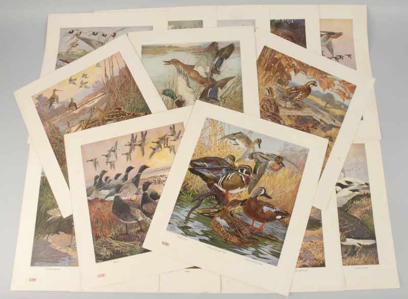 Appraisal: Lot of DuPont Birds Ducks Geese Prints Description Dated By