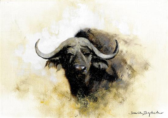 Appraisal: David Shepherd British b WATER BUFFALOoil on canvas framed signed