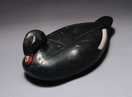 Appraisal: HAND CARVED GUS WILSON PREENING SCOTER DECOY Augustus Wilson was