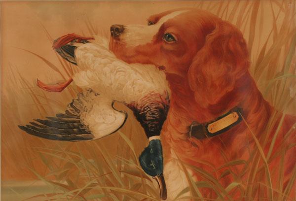 Appraisal: Large sporting print hunting dog with downed duck I D