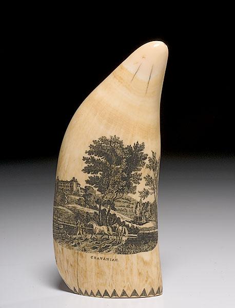 Appraisal: SCRIMSHAW WHALE'S TOOTH possibly Continental th century Of the Ch