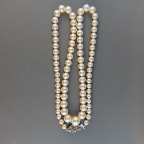 Appraisal: Pearl Necklace graduated to mm long k white gold clasp