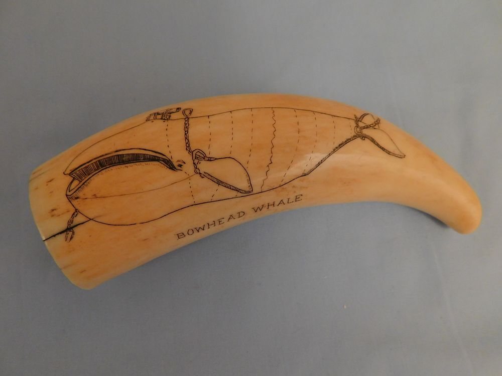 Appraisal: SCRIMSHAW WHALES TOOTH Whales tooth with scrimshawed whale on each