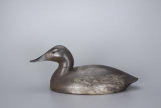 Appraisal: Canvasback Hen John R Wells Canvasback Hen John R Wells