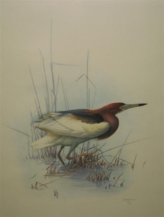 Appraisal: After Lansdowne limited edition print of a heron signed h