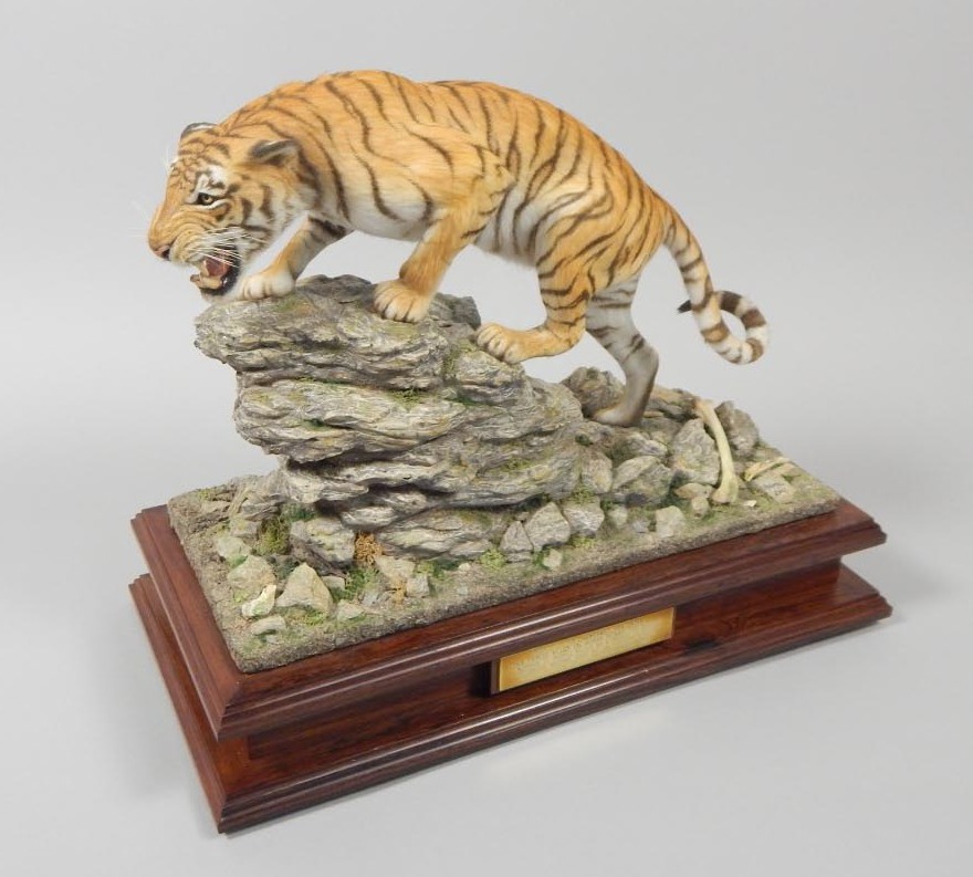 Appraisal: A model of a tiger the 'Champawat Maneater' shot by