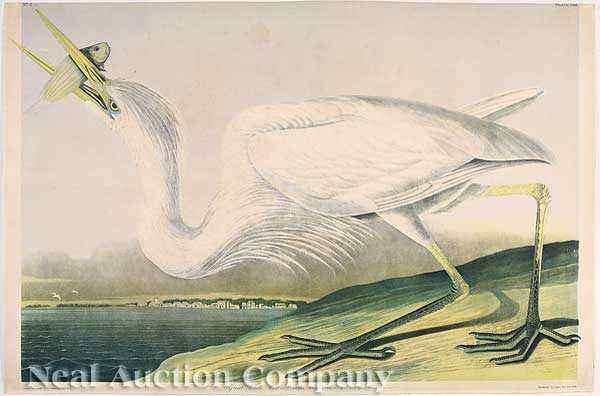 Appraisal: John James Audubon American - Great White Heron Plate chromolithograph