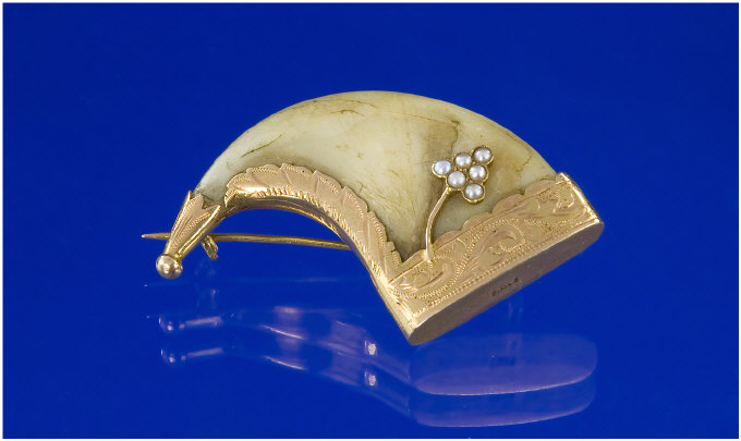 Appraisal: ct Gold Mounted Tiger Claw Brooch The Gold With Engraved