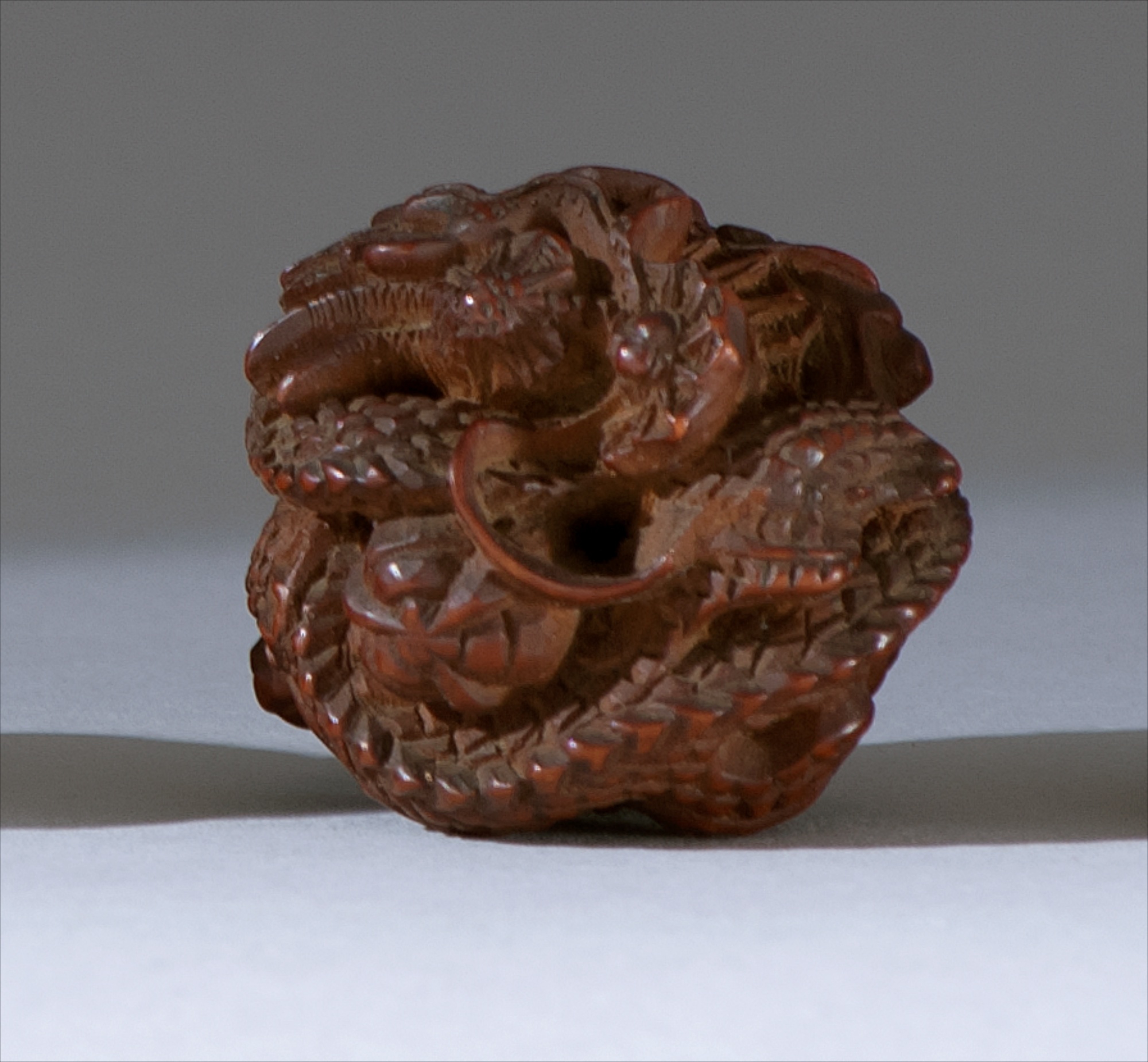 Appraisal: WOOD NETSUKE th CenturyIn the form of a coiled dragon