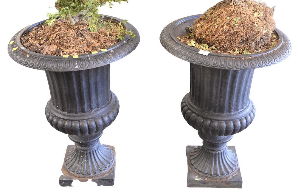 Appraisal: Pair of Victorian Style Iron Urns on square bases height