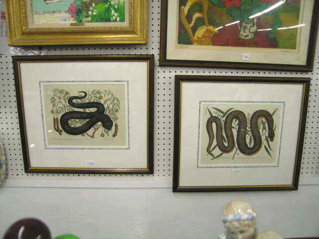 Appraisal: Pair of th Century Handcolored Engravings of snakes