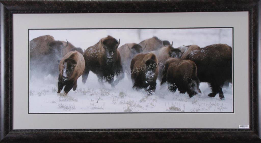 Appraisal: A photographic print depicting American Bison in snow by Mark