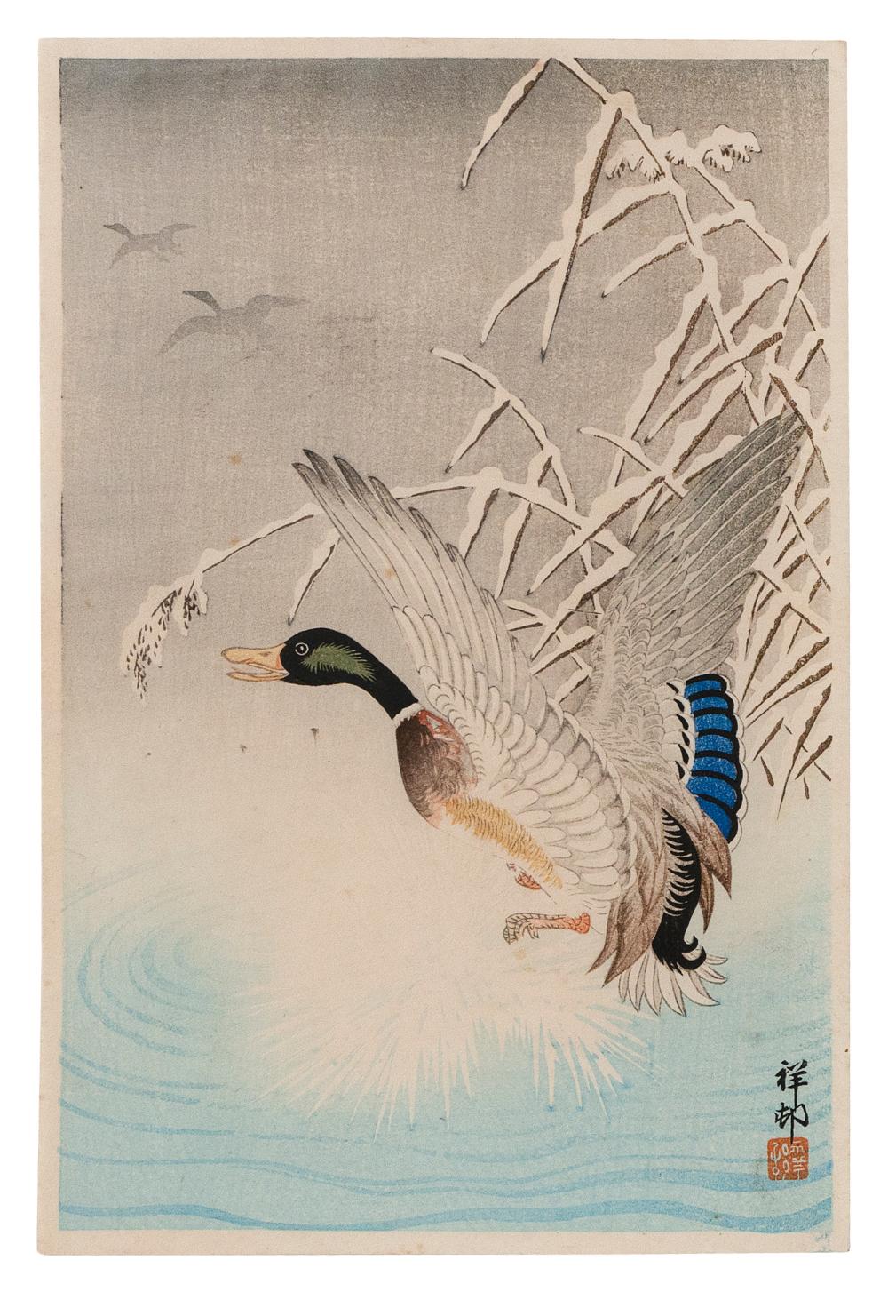 Appraisal: OHARA SHOSON JAPAN - WILD GOOSE TAKING FLIGHT FROM A