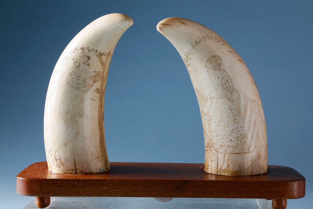 Appraisal: Pair of Antique Scrimshaw Sperm Whale Teeth circa Pair of