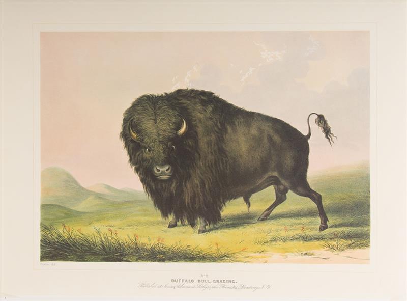 Appraisal: AFTER GEORGE CATLIN - BUFFALO BULL GRAZING PLATE WILD HORSES