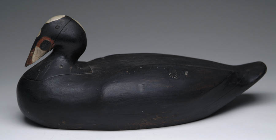 Appraisal: EARLY GUS WILSON LIGHT WING SCOTER DECOY Gus Wilson is