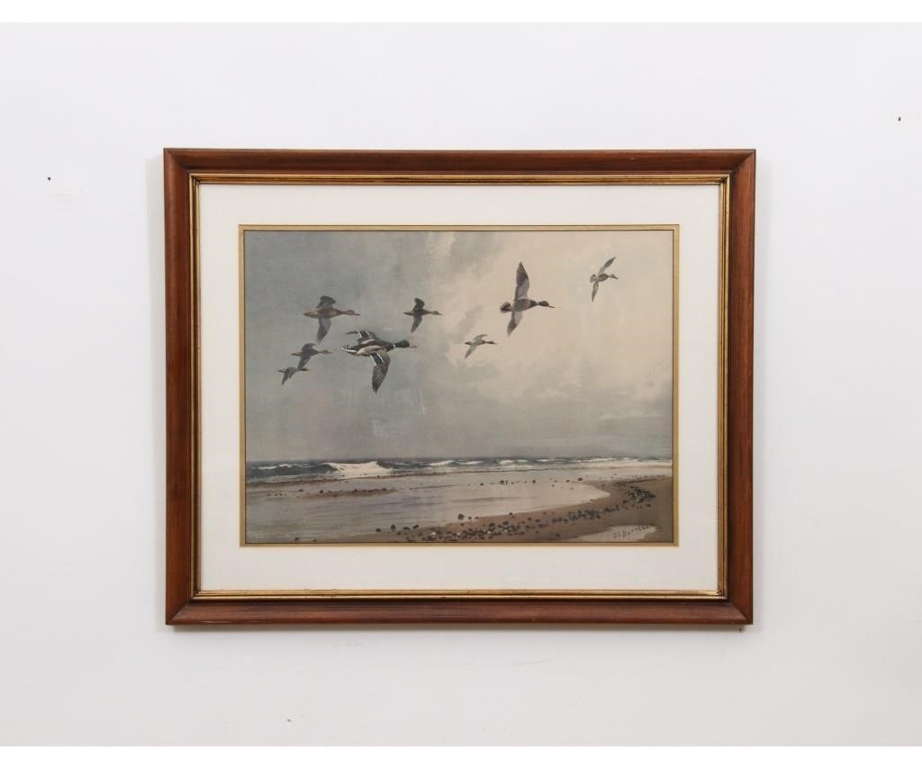 Appraisal: John Cyril Harrison - framed and matted watercolor of mallard