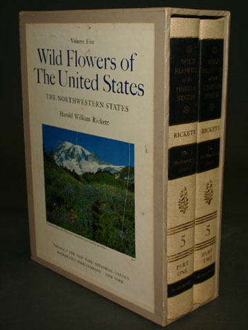 Appraisal: Wildflowers Harold William Rickett Wild Flowers Of The United States