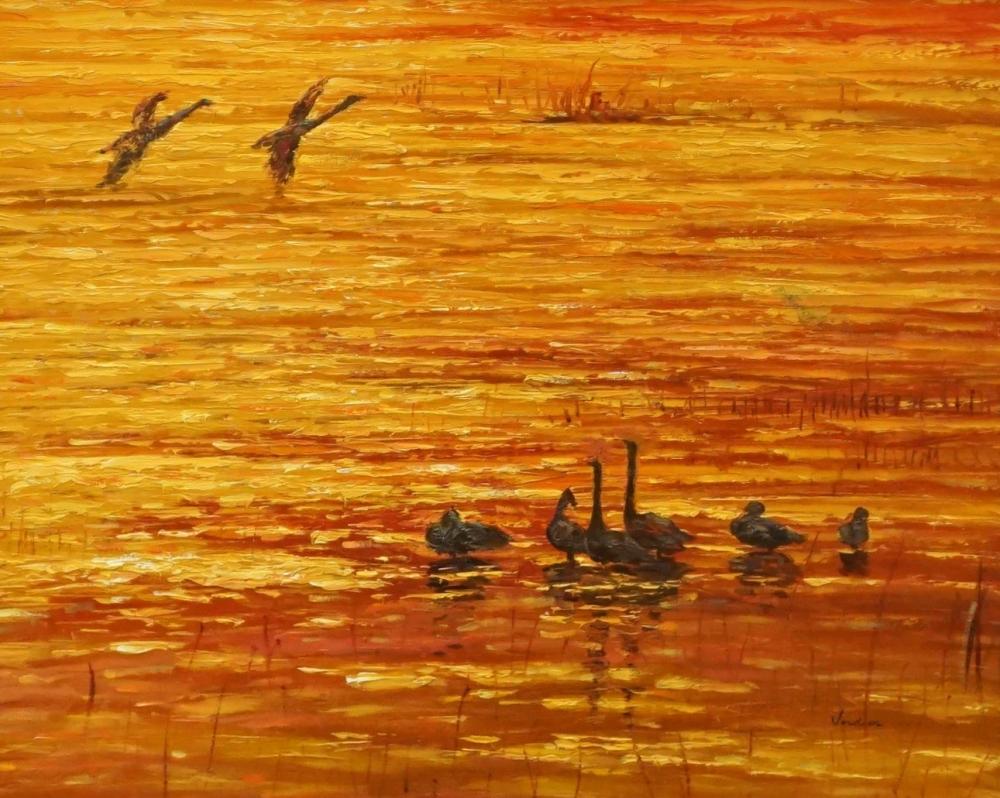 Appraisal: TH CENTURY SCHOOL DUCKS ON A LAKE OIL ON CANVAS