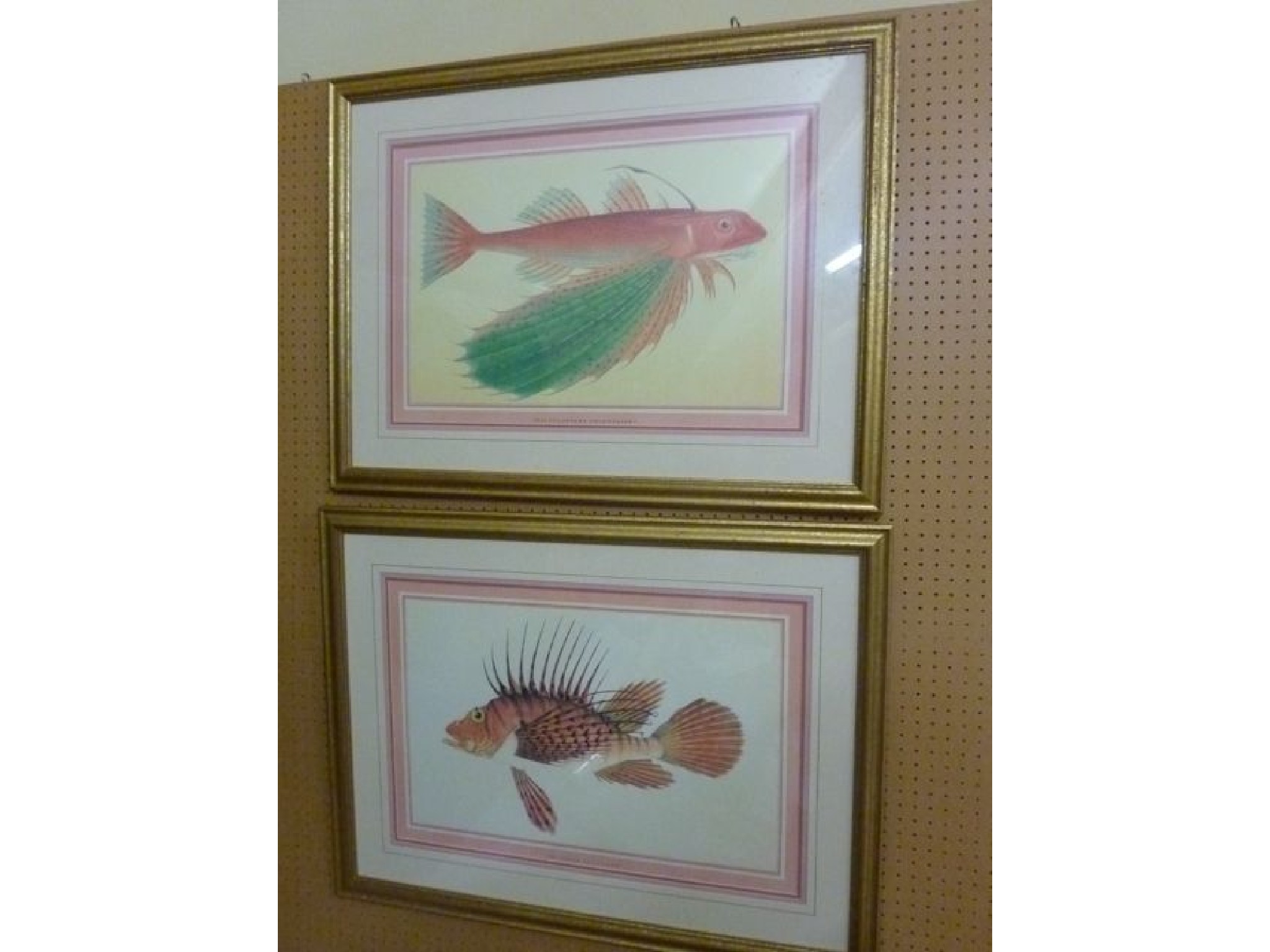 Appraisal: A pair of contemporary decorative framed and glazed prints detailing