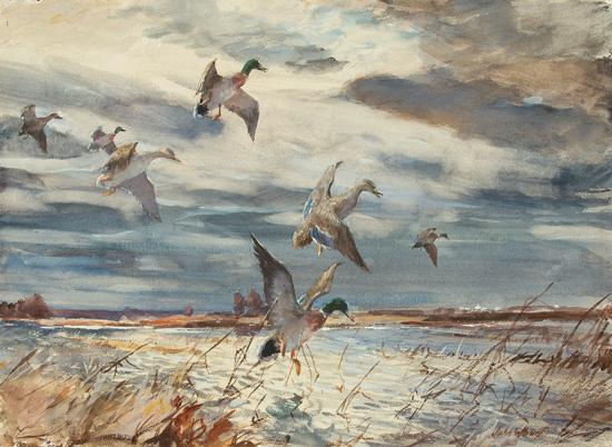 Appraisal: JOHN WHORF American - November Twilight Mallard watercolor signed lower