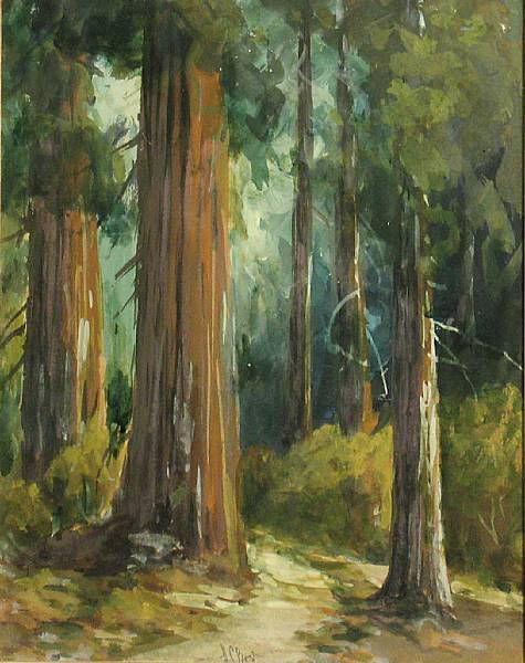 Appraisal: Harry C Best - Mariposa Big Trees signed 'H C