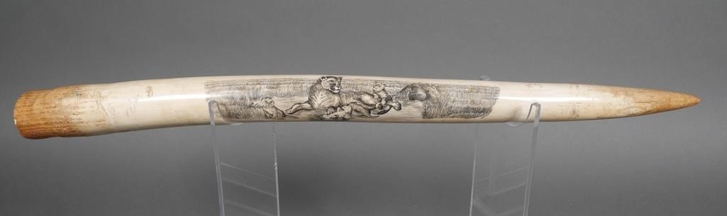 Appraisal: African elephant scrimshaw tusk Signed lower right L McLane Lois