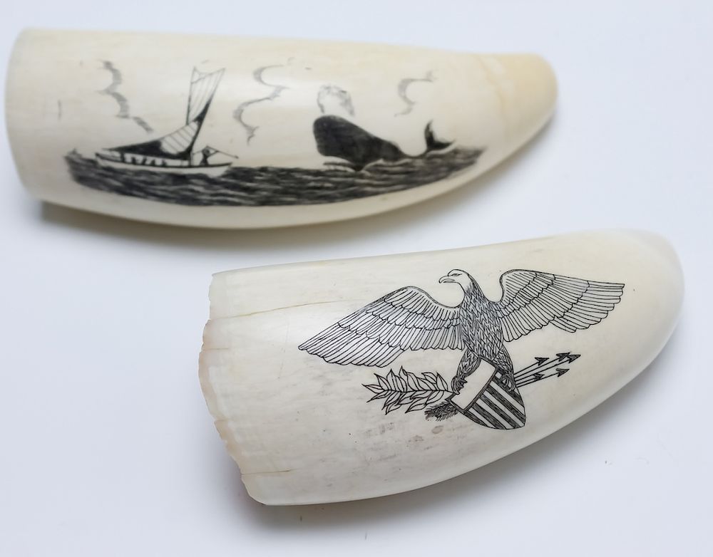 Appraisal: Scrimshaw Carvings Of Whale Ships Eagle On Tooth Pair of