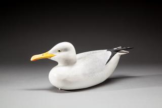 Appraisal: Gull by Herbert H Miller b GullHerbert H Miller b