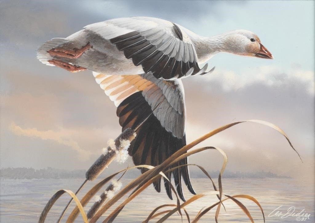 Appraisal: Snow Goose signed and dated Les Didier lower right acrylic