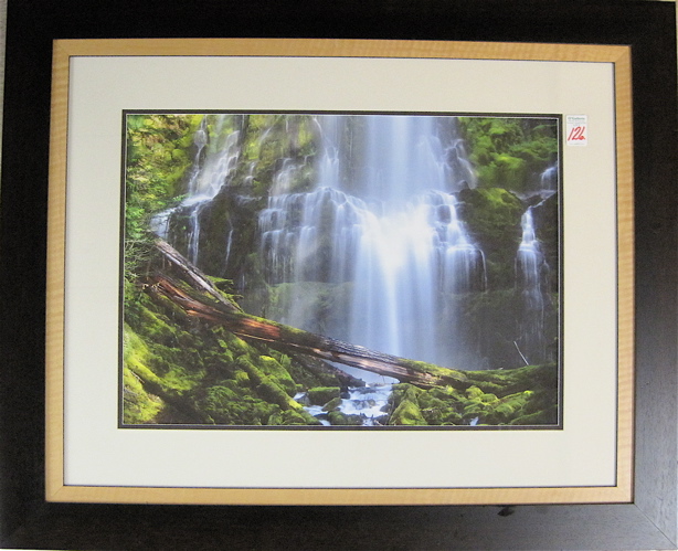 Appraisal: COLOR PHOTOGRAPH titled Proxy Falls in the central Cascade Mountains