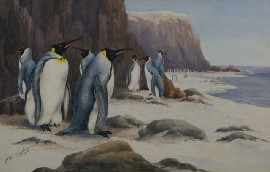 Appraisal: Neville W Cayley - Emperor Penguins Penguins watercolour signed 'N