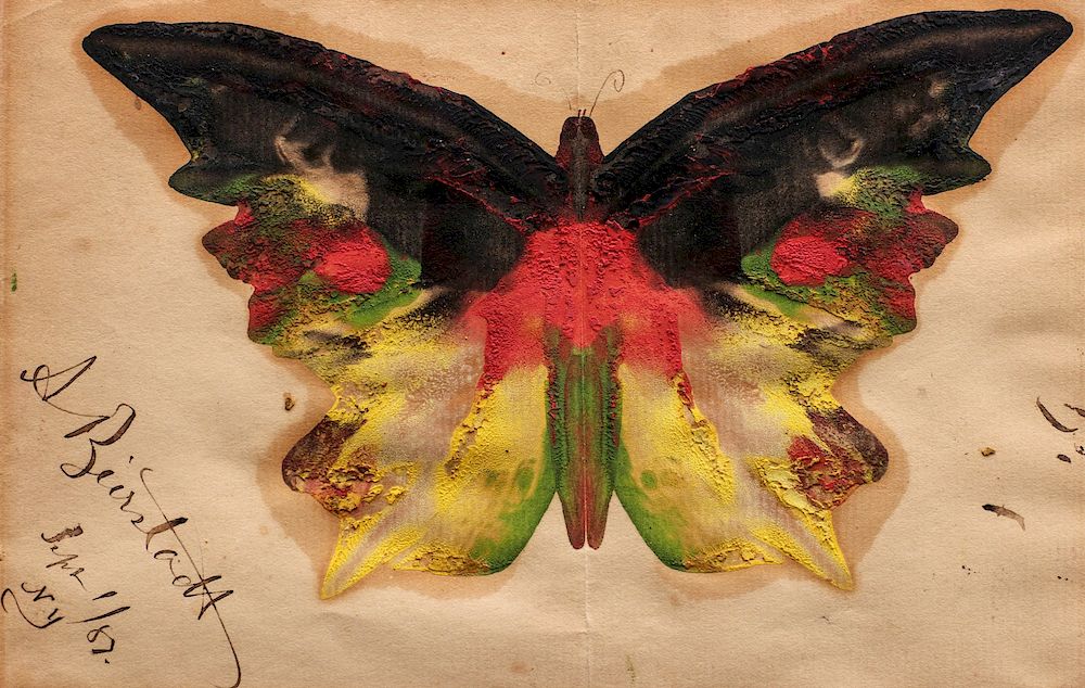 Appraisal: ALBERT BIERSTADT - OIL ON PAPER BUTTERFLY Albert Bierstadt -