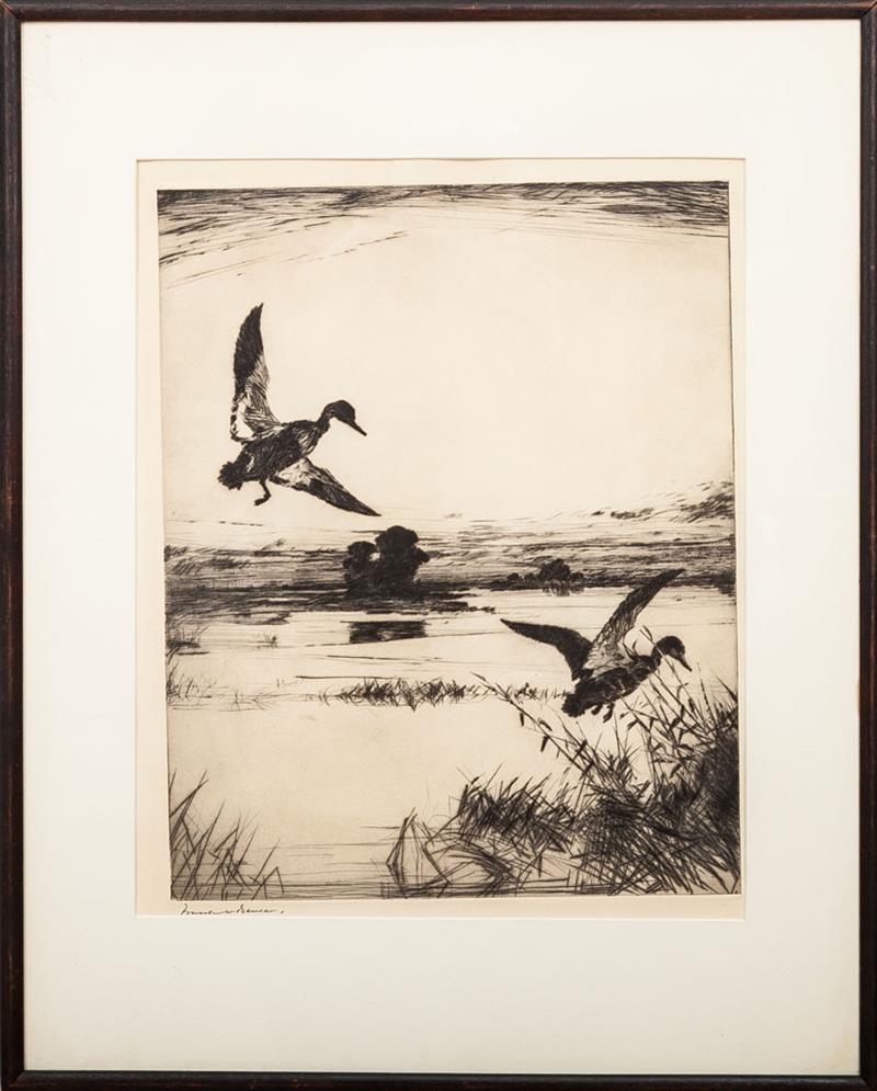 Appraisal: Frank W Benson - Two Black Ducks Drypoint on laid