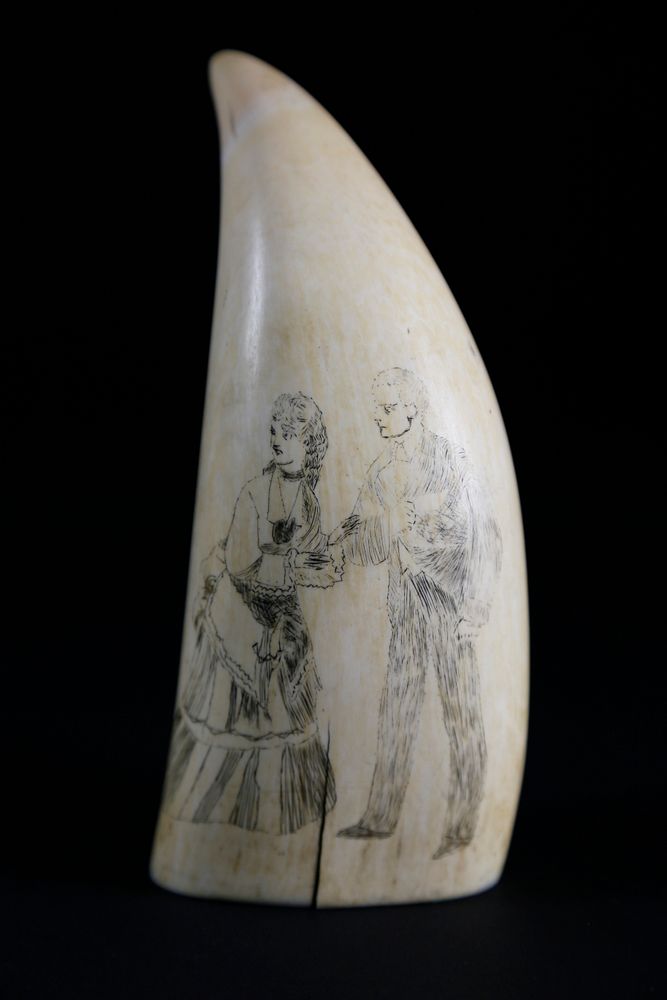 Appraisal: Whaler Scrimshaw Sperm Whale Tooth circa Whaler Scrimshaw Sperm Whale