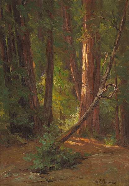 Appraisal: Alice Brown Chittenden American - In the California Redwoods signed