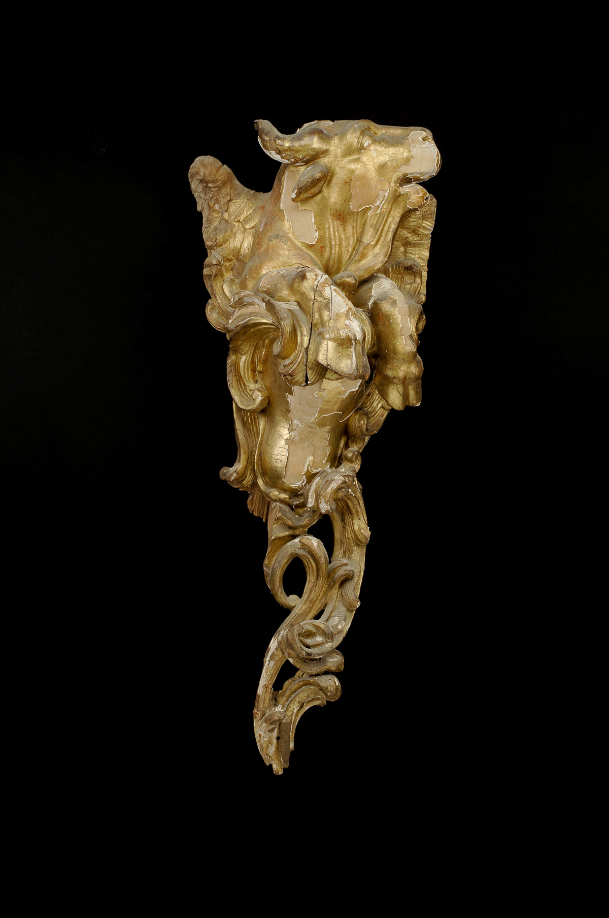 Appraisal: CONTINENTAL ROCOCO CARVED GILTWOOD ARCHITECTURAL ELEMENT Carved as a bull