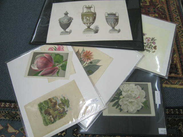 Appraisal: Lot of Engravings Prints mostly botanical