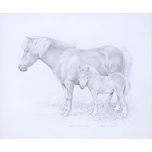 Appraisal: Patrick A Oxenham - - Shetland Mare and Foal signed