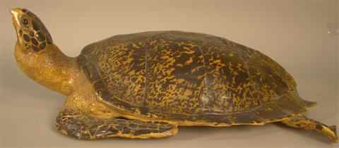 Appraisal: LARGE FAUX PAINTED RESIN TURTLE h w d in Other