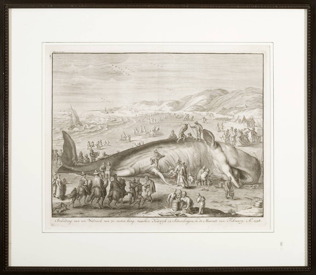 Appraisal: DUTCH ENGRAVING OF A BEACHED WHALE quot STRANDING VAN EEN