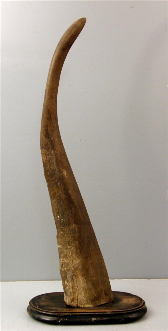 Appraisal: th century rhinoceros horn on a th century oak mount