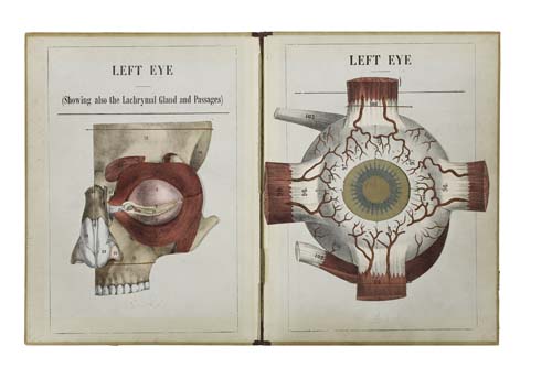 Appraisal: WITKOWSKI G -J -A A Movable Atlas showing the Mechanism